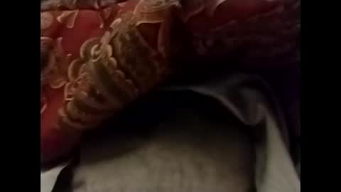 whodunnitwrangler online show from January 11, 5:31 am