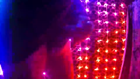 whor4mor online show from November 5, 2:08 pm