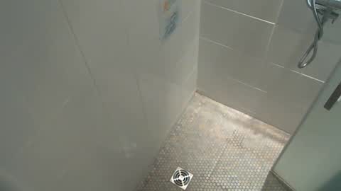 willider3 online show from November 3, 7:23 am