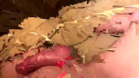 williewants online show from February 1, 1:21 pm