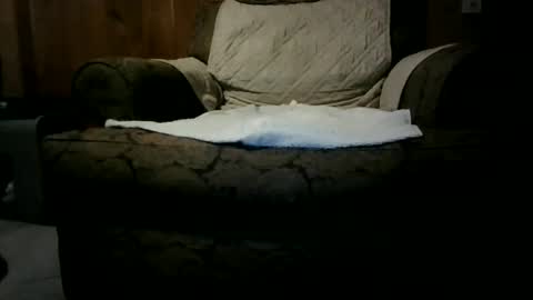 Willhedoher online show from January 5, 12:09 am