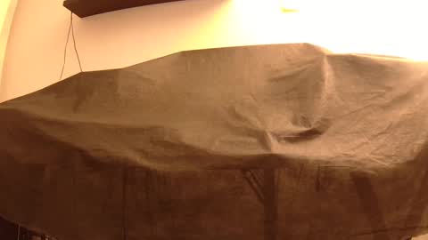 Mater online show from January 23, 12:46 am