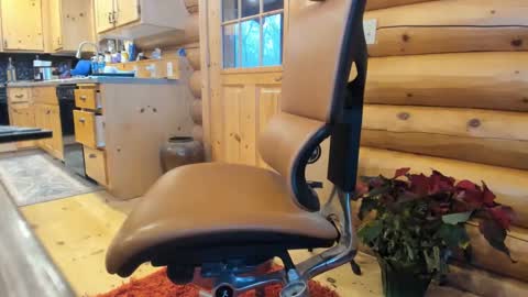 Gobbleon online show from December 16, 9:31 pm