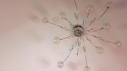 Elvin online show from February 20, 1:46 pm