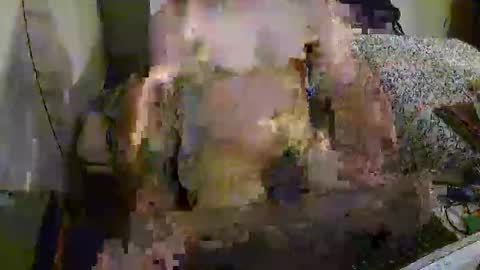 xatofe2000 online show from December 12, 2:15 am