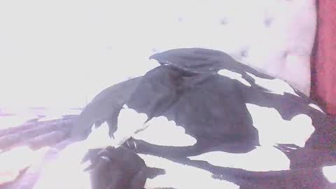 Snapshot of youn_king chatting on December 12, 12:05 am ALEX online show from December 12, 12:05 am