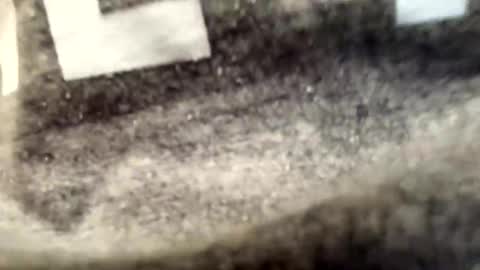 Snapshot of yungstudbev chatting on September 24, 5:40 am yungstudbev online show from September 24, 5:40 am