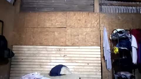 zamora533608 online show from January 9, 1:11 am