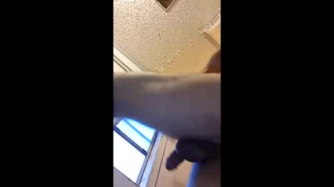 zbbszqlqizsv online show from May 8, 10:38 am