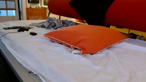 zedlav4 online show from November 28, 9:49 pm