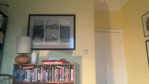 zephr1 online show from December 10, 2:39 pm