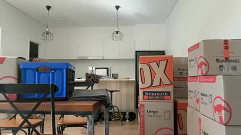 zeroventure online show from March 31, 3:52 am