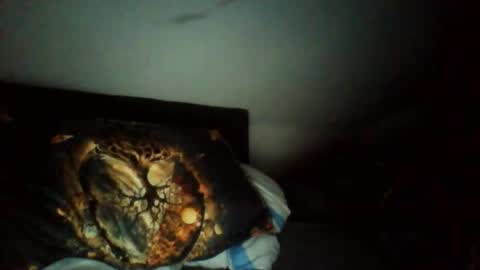 zubit online show from February 12, 4:07 am