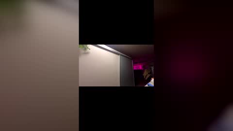 Zuko online show from November 25, 2:30 pm