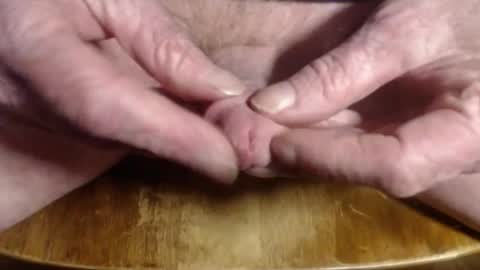 ZZ online show from February 23, 1:46 pm