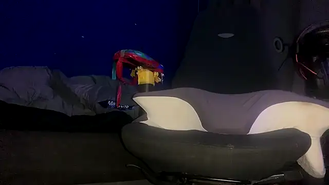 ZandersaSimp online show from December 17, 5:08 pm