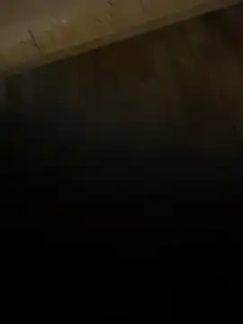 Gogin83 online show from March 16, 11:14 pm