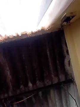 dantero online show from February 27, 3:48 pm