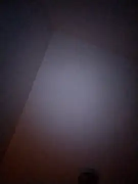 Treemandude online show from January 6, 10:08 am