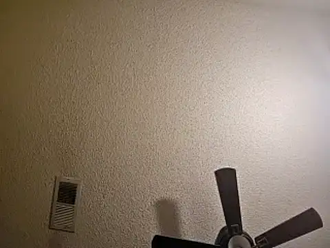 Forbidden daddy online show from December 13, 7:37 am