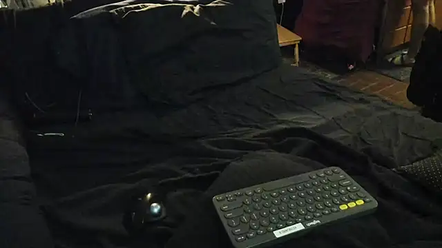 Dark Asteroid online show from February 22, 1:01 pm