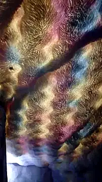 Snapshot of Moreno1813 chatting on October 31, 6:39 am Moreno1813 online show from October 31, 6:39 am