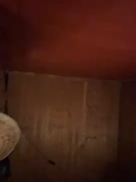SexToyOnely online show from May 29, 2:54 am