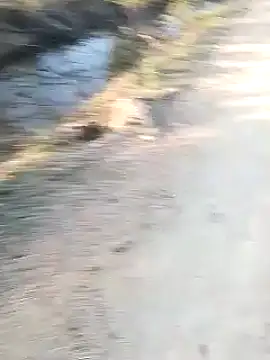 Monster Bigdick online show from January 9, 11:36 am