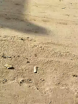 Monster Bigdick online show from December 8, 3:32 am