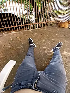 braza66 online show from April 12, 5:03 pm