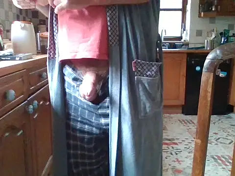 jakjak106 online show from September 23, 7:40 am