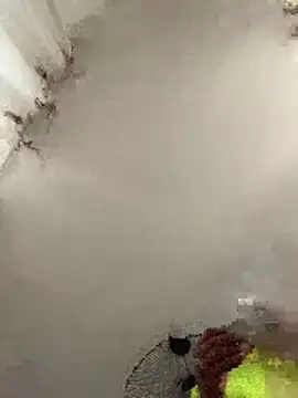 Yoyo6923 online show from October 9, 7:13 am