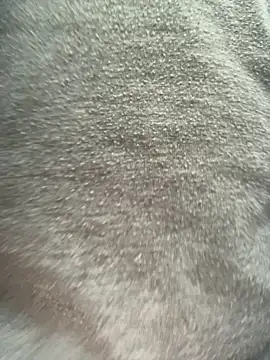 Shyboy817 online show from September 21, 10:48 am