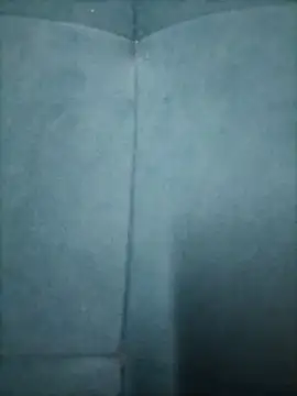 IndianSpark online show from February 21, 12:28 pm