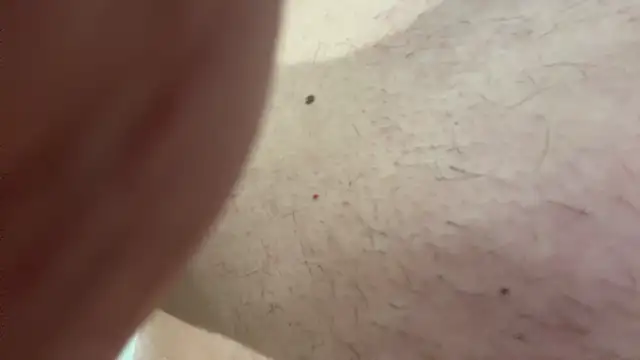 Fuckmyassg00d online show from August 8, 12:56 pm