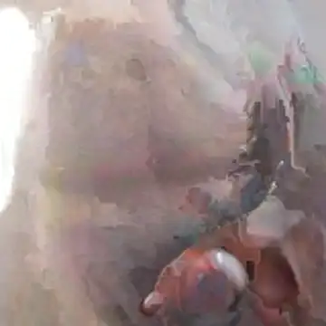 jockey2051992 online show from March 10, 3:23 am