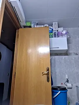 Javier bear online show from February 12, 2:01 pm