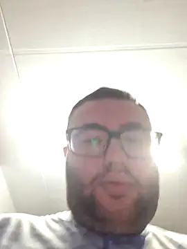 Javier bear online show from November 3, 11:17 pm