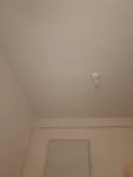 wedge75 online show from March 10, 5:52 pm