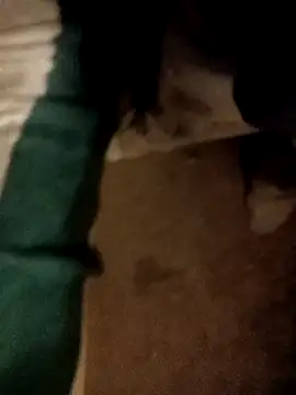 ySqmbVanbe online show from November 2, 3:00 am