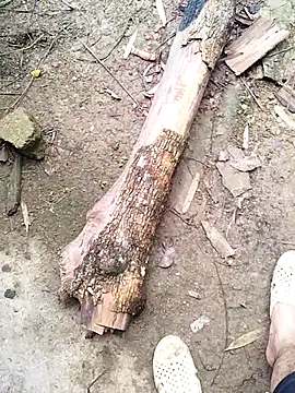 idocudai online show from February 23, 3:19 am