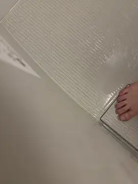 shiro 3 online show from February 14, 12:44 pm