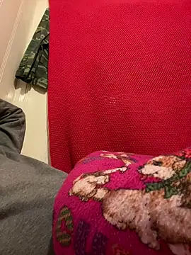 Snapshot of A6229 chatting on February 26, 11:09 am A6229 online show from February 26, 11:09 am