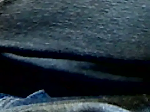 markluvskitty online show from November 12, 6:24 pm