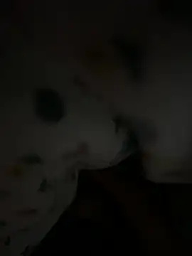 Gelatino45 online show from April 10, 7:59 am