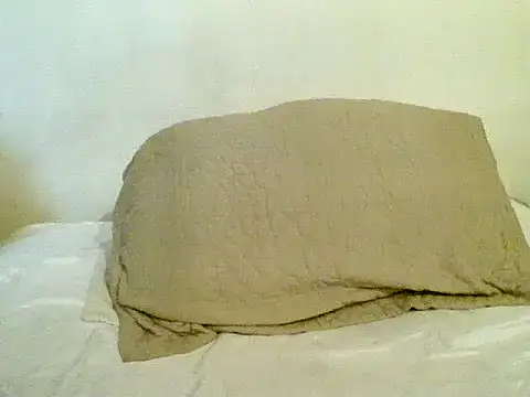 pollarikaaa online show from November 2, 2:49 am