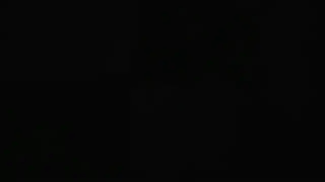 guy master online show from December 7, 12:31 am