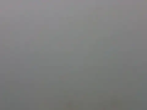 sat 1234 online show from November 11, 5:40 pm