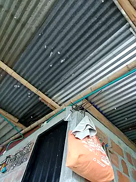 Tuo yuan online show from September 14, 8:00 pm