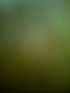 MALLUSING555 online show from March 7, 8:28 pm